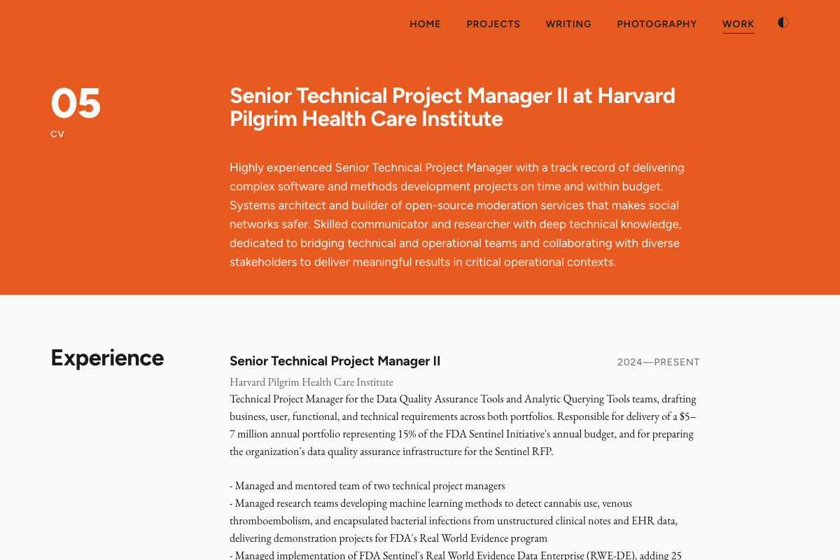 Screenshot of scarnecchia.net/work